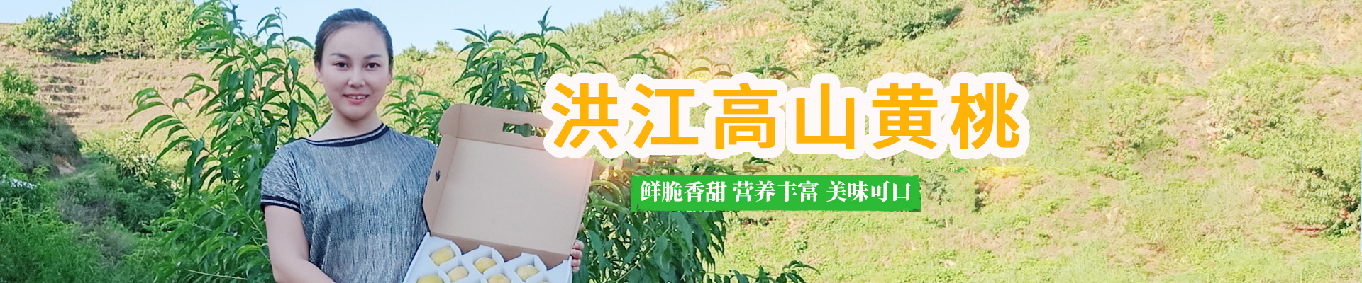 洪江市禹甜科技有限公司_黔陽瞐_農產品的批發(fā)零售